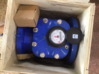 Đồng hồ nước Unik LXLG mặt bích